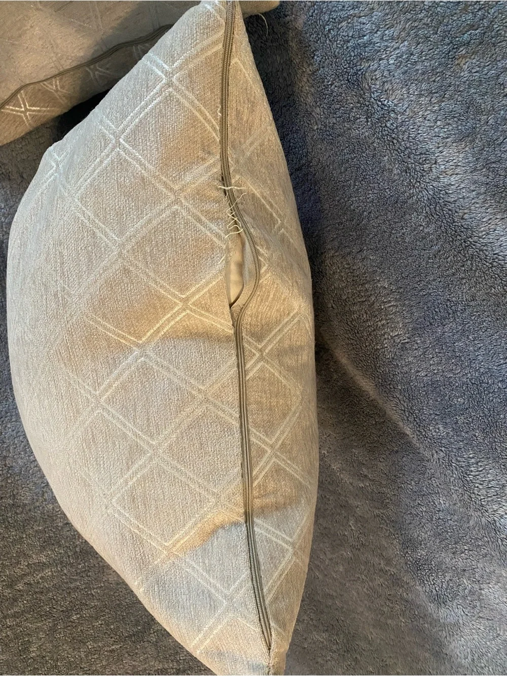 Gray with Silver-Pattern Throw Pillow Pair
